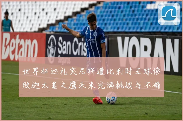 世界杯巡礼突尼斯遭比利时五球惨败迦太基之鹰未来充满挑战与不确定性