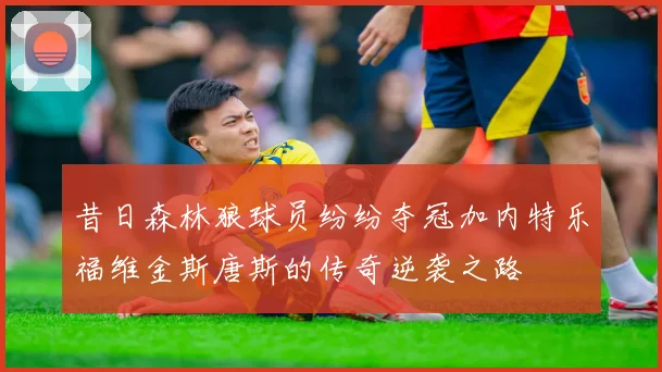昔日森林狼球员纷纷夺冠加内特乐福维金斯唐斯的传奇逆袭之路