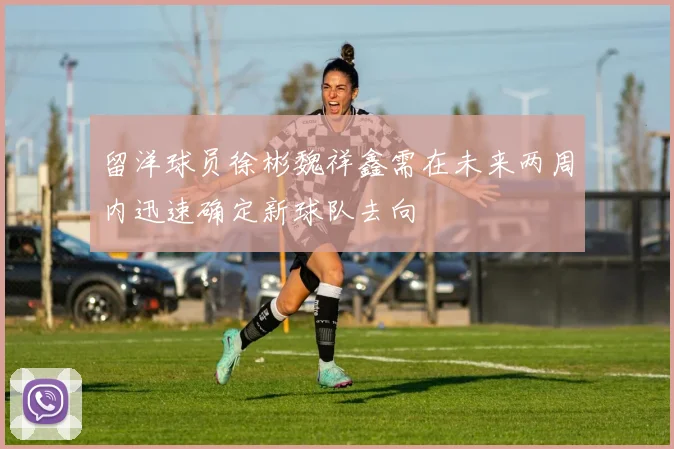 留洋球员徐彬魏祥鑫需在未来两周内迅速确定新球队去向